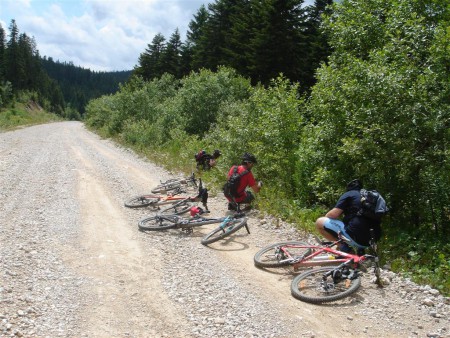 Sběrači jahůdek aneb zadní voj bikerů :-).