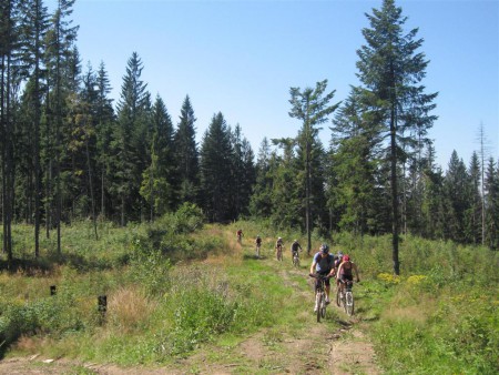 Pohodová hřebenovka.