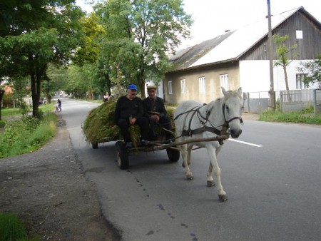 Momentky z města.