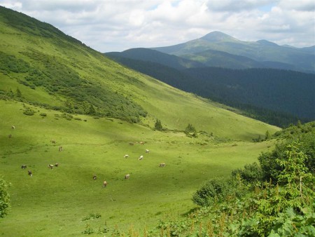 Panorama.