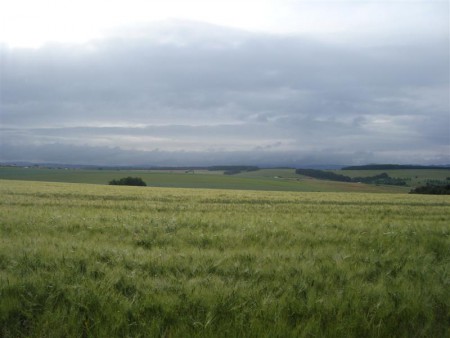 Ranní krásy kraje.