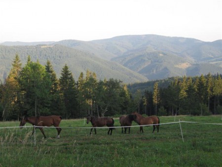 Večerní panorama.