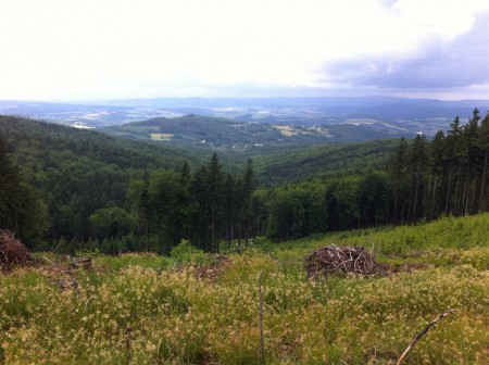 Panorama.