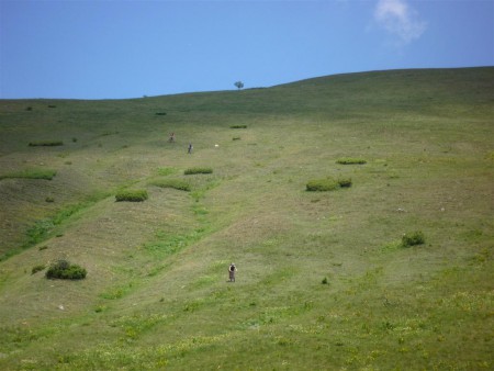 Nakonec to nevadilo - sjezdaři chrochtali blahem :-).