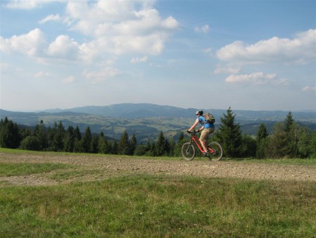 Koloušek na hřebenu.