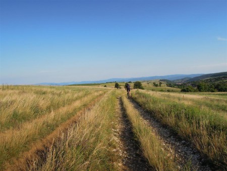 Zdejší klasická pohodová cesta pro bikery.