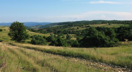 Panorama