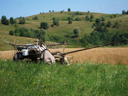 Banátský kraj.