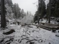 /album/bezky-s-vodenkou-20111/a11-large-jpg13/