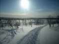 /album/snow-bike-expedice-laponsko-2011/a72-large-jpg1/