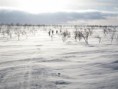 /album/snow-bike-expedice-laponsko-2011/a86-large-jpg1/