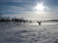 /album/snow-bike-expedice-laponsko-2011/a91-large-jpg1/