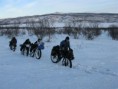 /album/snow-bike-expedice-laponsko-2011/a100-large-jpg/