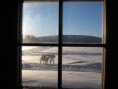 /album/snow-bike-expedice-laponsko-2011/a151-large-jpg/