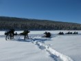 /album/snow-bike-expedice-laponsko-2011/a157-large-jpg/