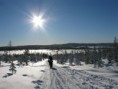 /album/snow-bike-expedice-laponsko-2011/a169-large-jpg/