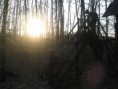 /album/oslavanska-50-2011/a19-large-jpg11/