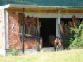 /album/bosna-a-hercegovina-2011/a29-large-jpg11/