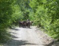 /album/bosna-a-hercegovina-2011/a84-large-jpg4/
