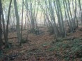 /album/prejezd-praha-zapad-20061/a05-jpg20/