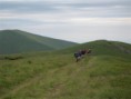 /album/podkarpatska-rus-20081/a48-jpg6/