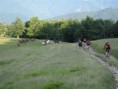 /album/podkarpatska-rus-20081/a74-jpg2/