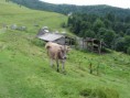 /album/podkarpatska-rus-20081/a115-jpg1/