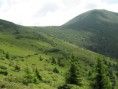 /album/podkarpatska-rus-20081/a147-jpg1/