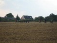 /album/prejezd-praha-zapad-20081/a08-jpg18/