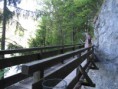 /album/wolfgangsee-20091/a03-medium-jpg1/