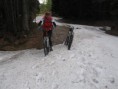 /album/wolfgangsee-20091/a38-medium-jpg2/