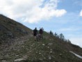 /album/wolfgangsee-20091/a49-medium-jpg2/