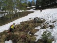 /album/wolfgangsee-20091/a59-medium-jpg2/