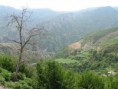 /album/albanie-20091/a79-large-jpg5/