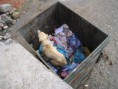 /album/albanie-20091/a105-large-jpg2/