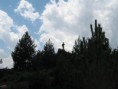 /album/albanie-20091/a128-large-jpg1/