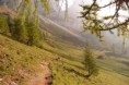 /album/dachstein-20091/a78-large-jpg6/
