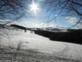 /album/bezky-s-vodenkou-2012/a16-large-jpg/