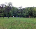 /album/tour-de-leskove-2011/a07-large-jpg22/