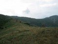 /album/makedonie-2012/a137-large-jpg2/