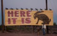 /album/route-66-trip-2012/a137-custom-jpg/