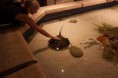 /album/las-vegas-2012/a17-custom-jpg5/
